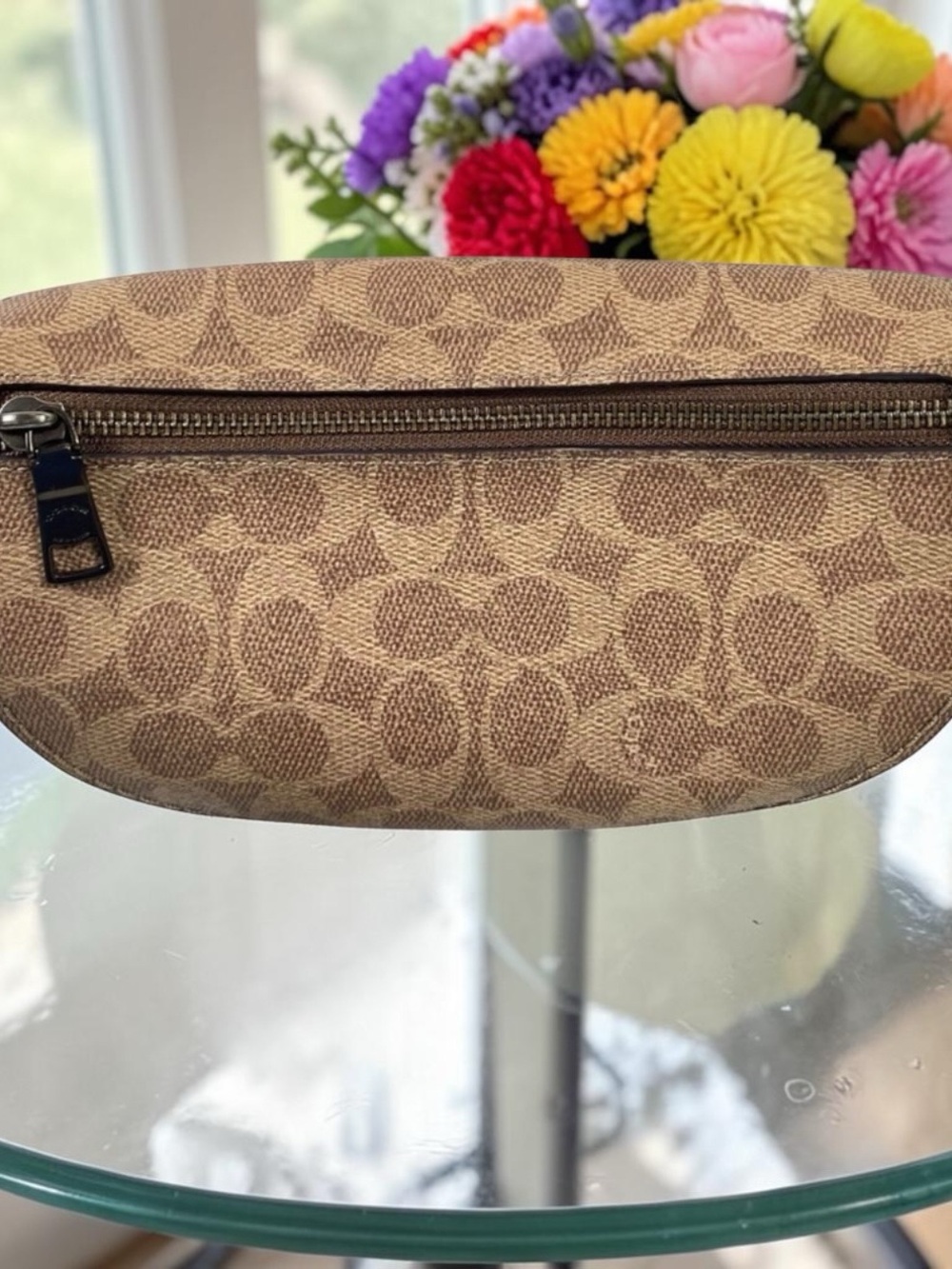 Unique Coach Pebbled Leather Belt Bag in Blue, Brown and Cream - Picture 3 of 13